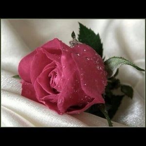 Meet your Posher, Thaira